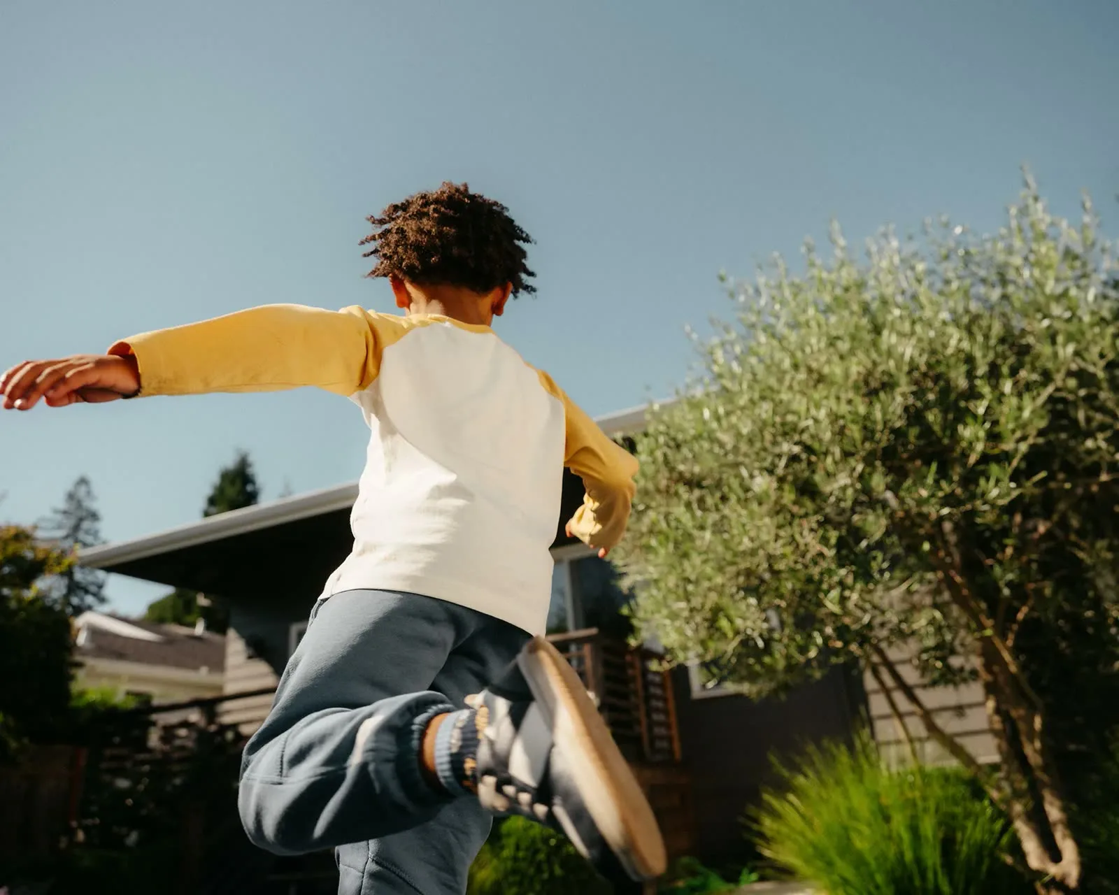 A child leaps in a sunlit garden beside an olive tree